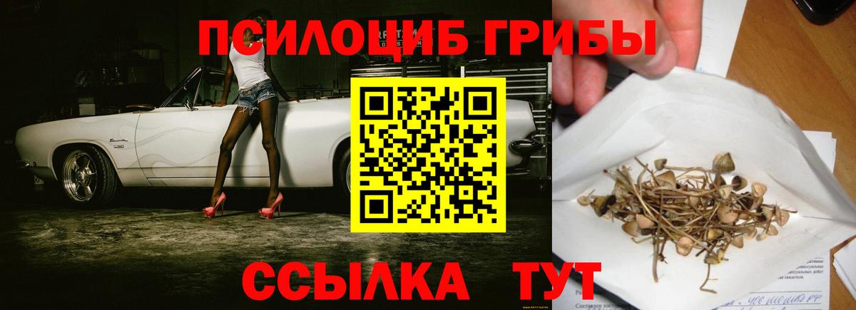 Псилоцибиновые грибы Cubensis Ачинск